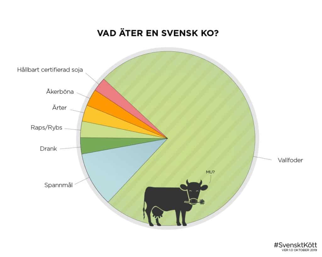 Vad äter en svensk ko?