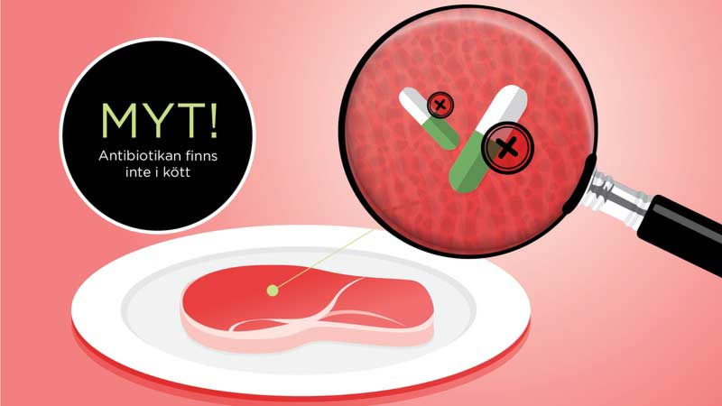 Myt om antibiotika