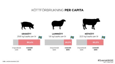 Förbrukning per capita 2020