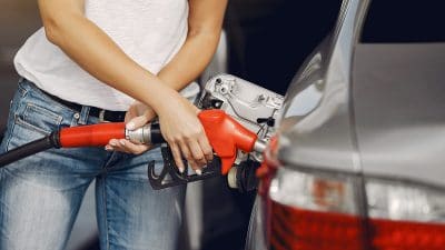 Animaliskt fett viktig resurs för förnybar diesel