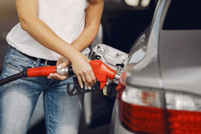 Animaliskt fett viktig resurs för förnybar diesel